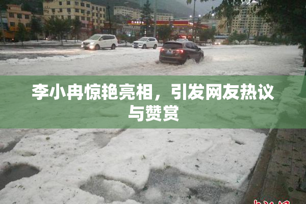李小冉惊艳亮相，引发网友热议与赞赏