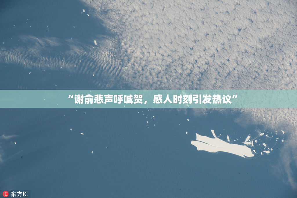 “谢俞悲声呼喊贺，感人时刻引发热议”