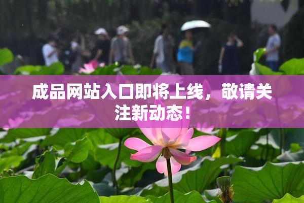 成品网站入口即将上线，敬请关注新动态！