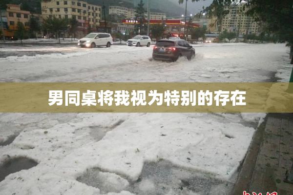 男同桌将我视为特别的存在