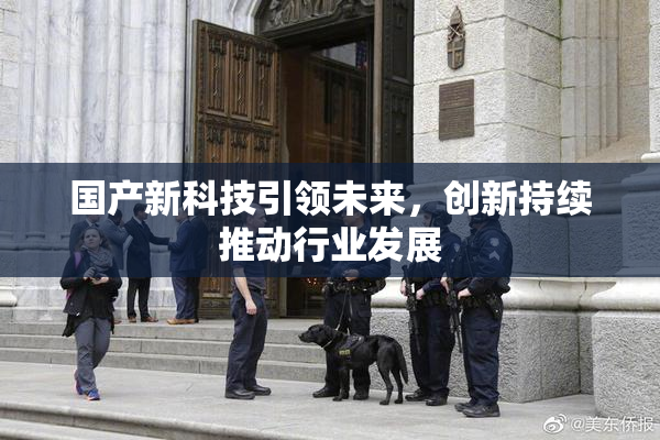 国产新科技引领未来，创新持续推动行业发展