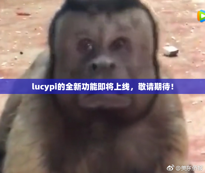 lucypi的全新功能即将上线，敬请期待！