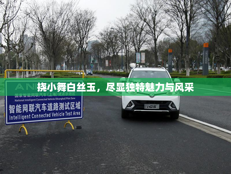 挠小舞白丝玉，尽显独特魅力与风采