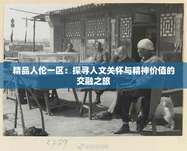 精品人伦一区：探寻人文关怀与精神价值的交融之旅