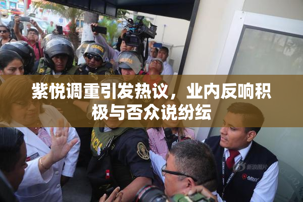 紫悦调重引发热议，业内反响积极与否众说纷纭