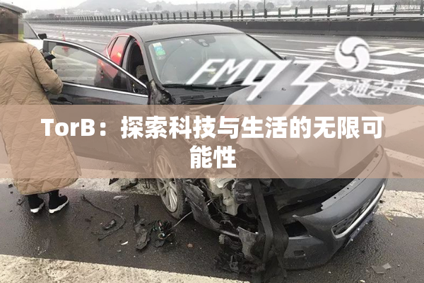 TorB：探索科技与生活的无限可能性
