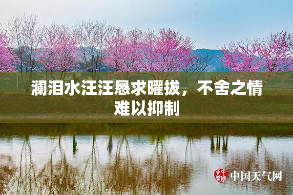 澜泪水汪汪恳求曜拔，不舍之情难以抑制