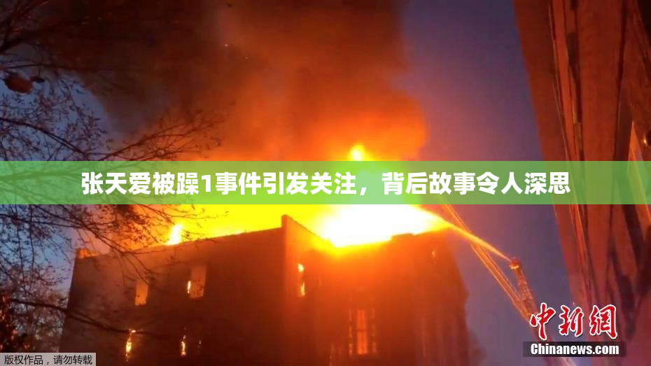 张天爱被躁1事件引发关注，背后故事令人深思