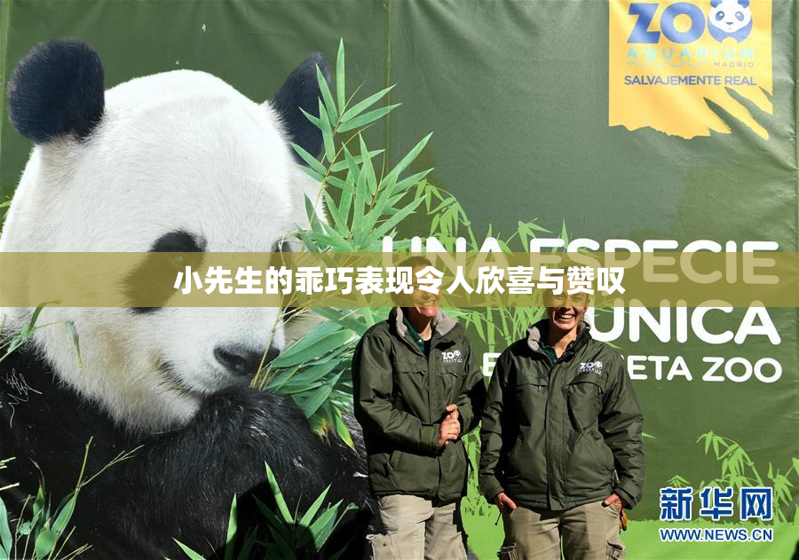 小先生的乖巧表现令人欣喜与赞叹