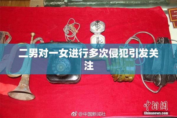 二男对一女进行多次侵犯引发关注