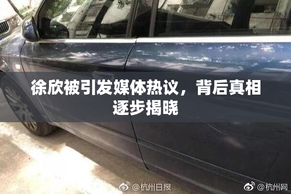 徐欣被引发媒体热议，背后真相逐步揭晓