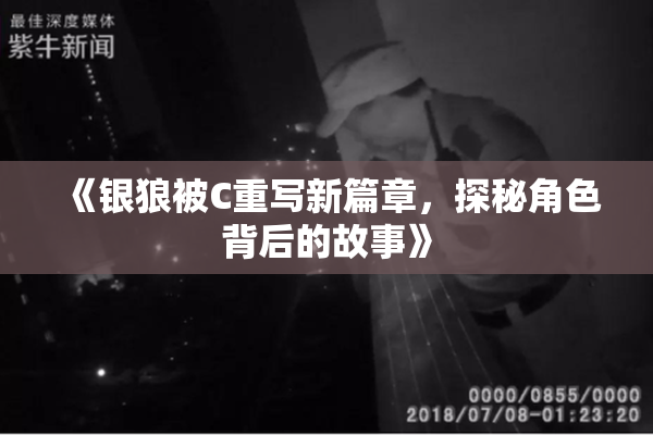 《银狼被C重写新篇章，探秘角色背后的故事》