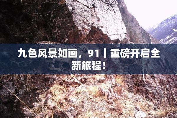 九色风景如画，91丨重磅开启全新旅程！