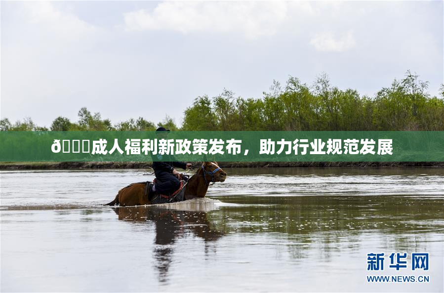🔞成人福利新政策发布，助力行业规范发展