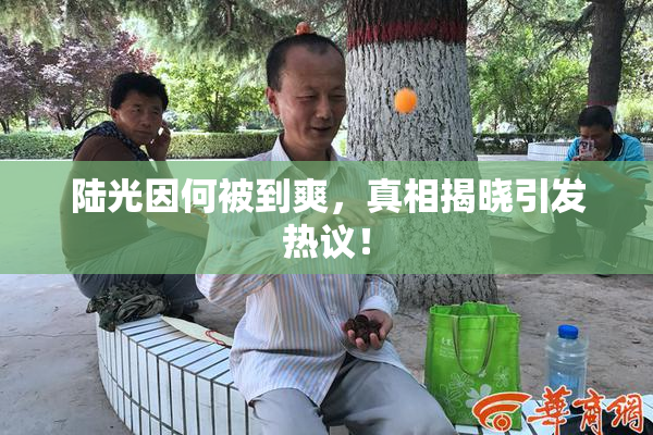 陆光因何被到爽，真相揭晓引发热议！