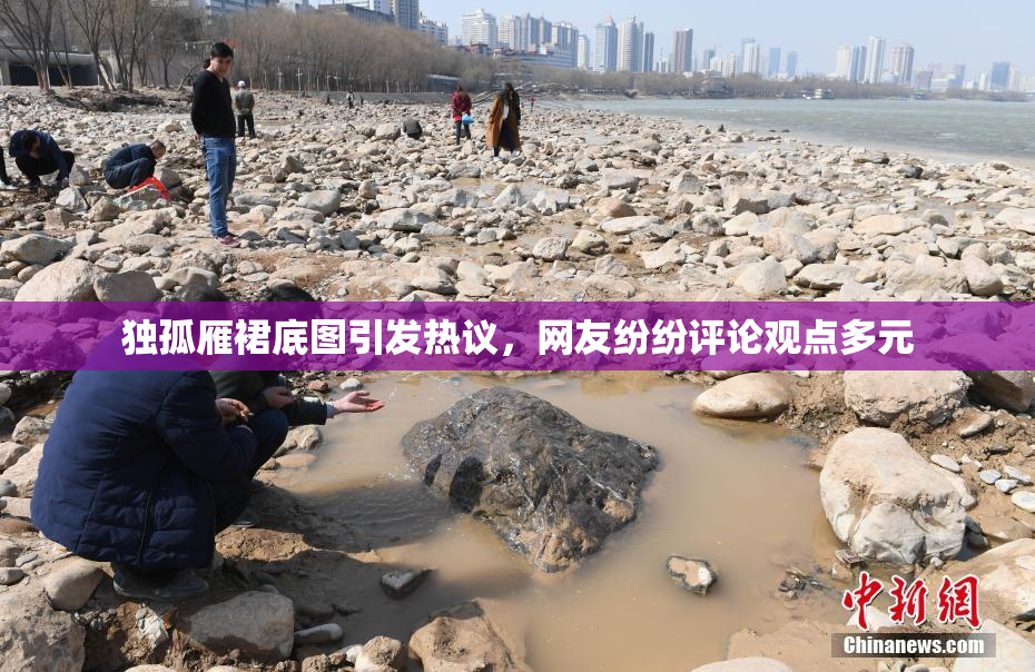 独孤雁裙底图引发热议，网友纷纷评论观点多元