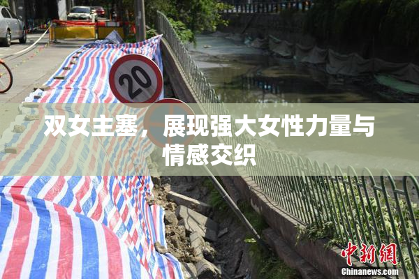 双女主塞，展现强大女性力量与情感交织