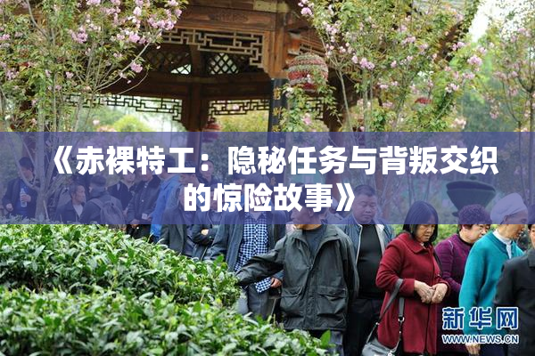 《赤裸特工：隐秘任务与背叛交织的惊险故事》