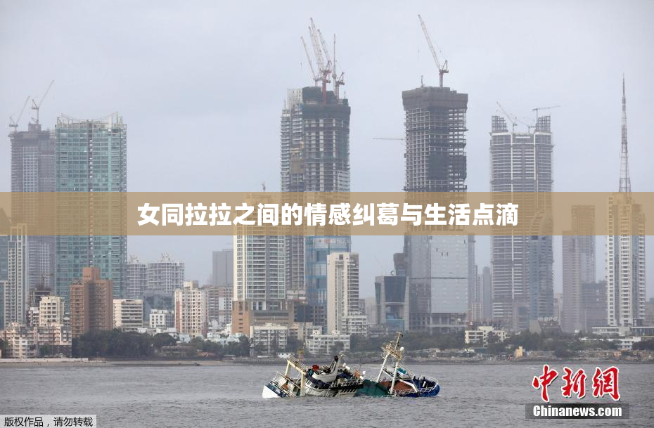 女同拉拉之间的情感纠葛与生活点滴