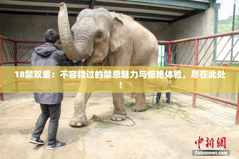 18禁双重：不容错过的禁忌魅力与惊艳体验，尽在此处！