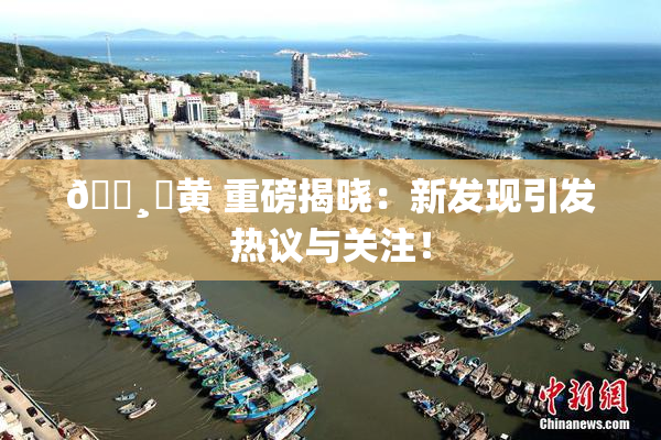 🌸‌黄 重磅揭晓：新发现引发热议与关注！
