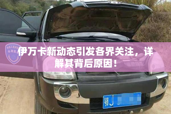 伊万卡新动态引发各界关注，详解其背后原因！