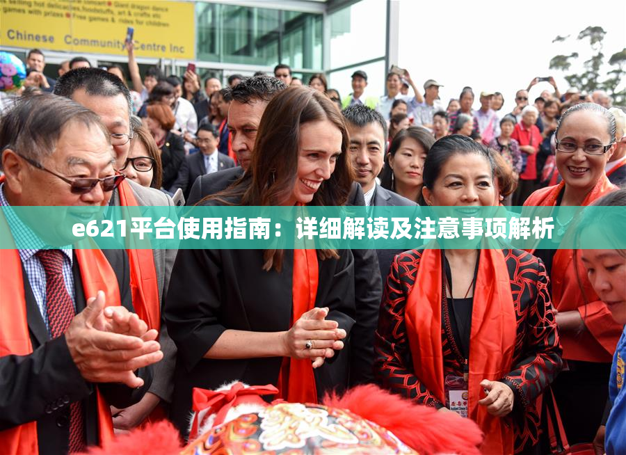 e621平台使用指南：详细解读及注意事项解析