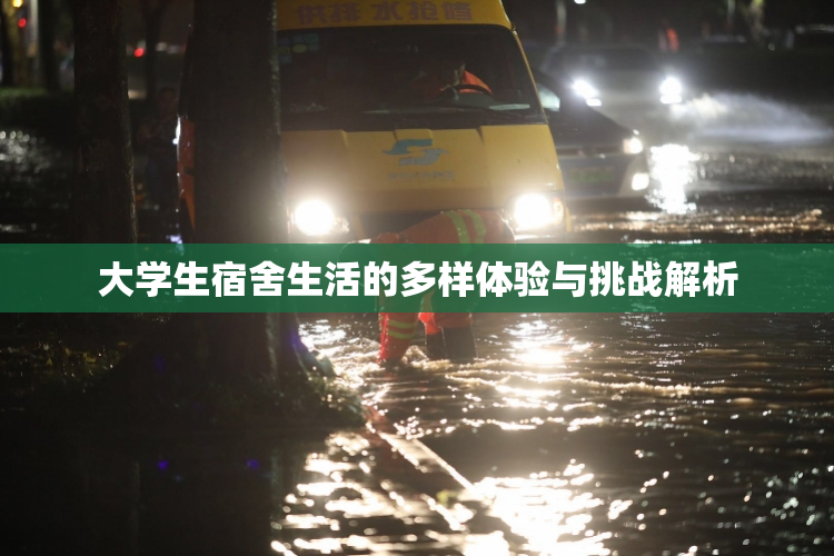 大学生宿舍生活的多样体验与挑战解析