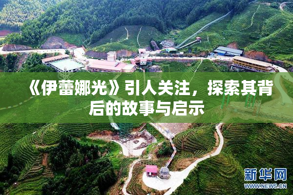《伊蕾娜光》引人关注，探索其背后的故事与启示