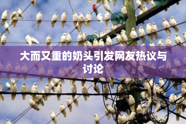大而又重的奶头引发网友热议与讨论