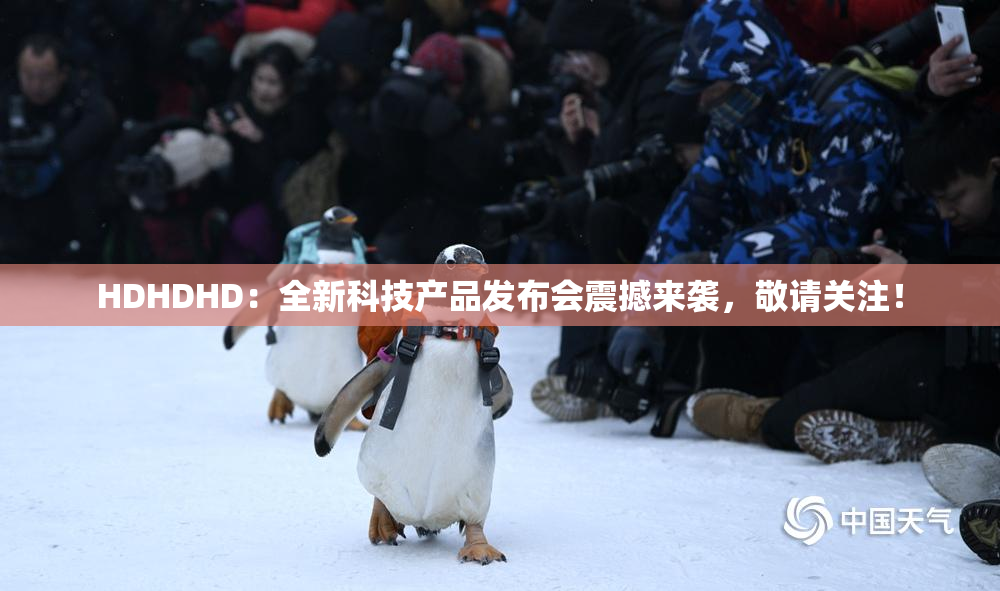 HDHDHD：全新科技产品发布会震撼来袭，敬请关注！