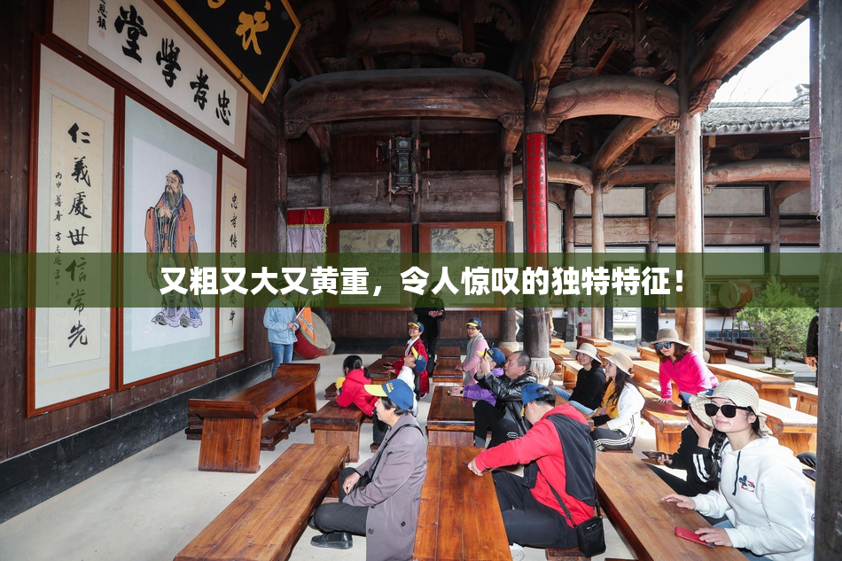 又粗又大又黄重，令人惊叹的独特特征！