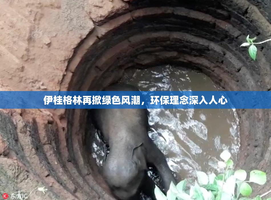 伊桂格林再掀绿色风潮，环保理念深入人心