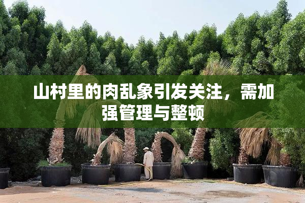 山村里的肉乱象引发关注，需加强管理与整顿