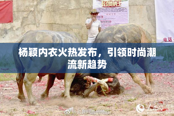 杨颖内衣火热发布，引领时尚潮流新趋势