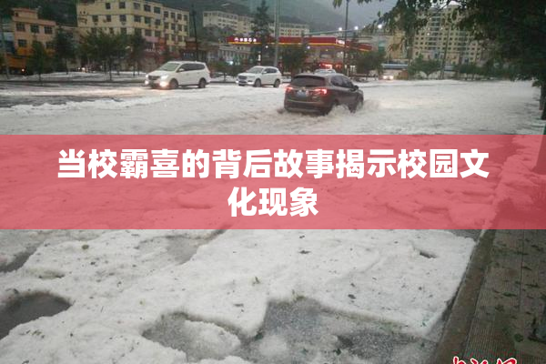 当校霸喜的背后故事揭示校园文化现象