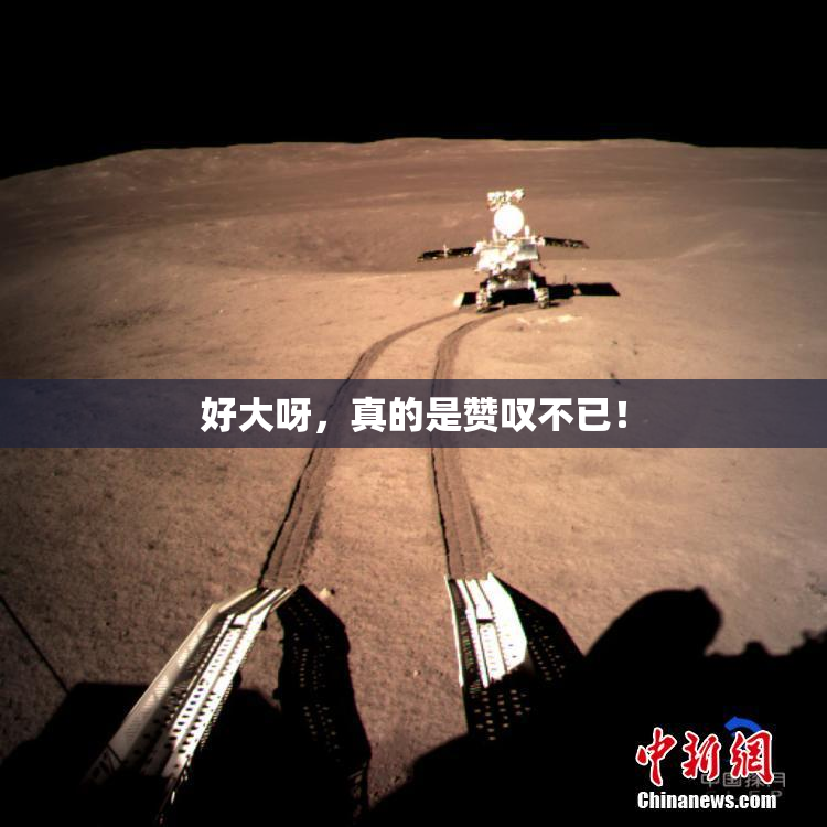 好大呀，真的是赞叹不已！