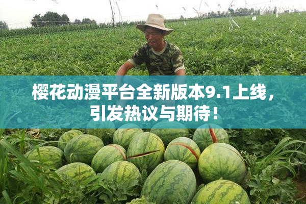 樱花动漫平台全新版本9.1上线，引发热议与期待！