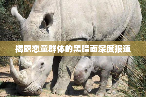 揭露恋童群体的黑暗面深度报道