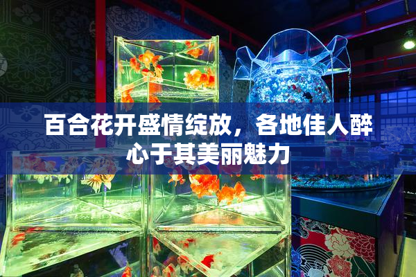 百合花开盛情绽放，各地佳人醉心于其美丽魅力