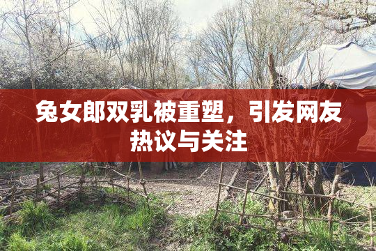 兔女郎双乳被重塑，引发网友热议与关注
