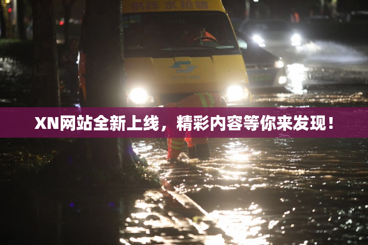 XN网站全新上线，精彩内容等你来发现！