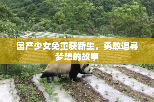 国产少女免重获新生，勇敢追寻梦想的故事