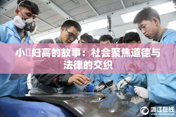 小婬妇高的故事：社会聚焦道德与法律的交织