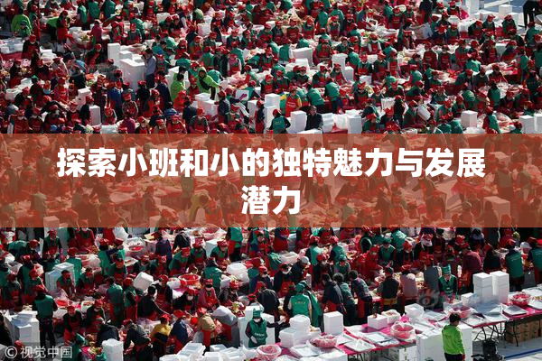 探索小班和小的独特魅力与发展潜力