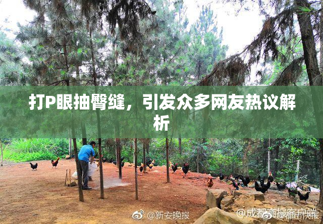 打P眼抽臀缝，引发众多网友热议解析