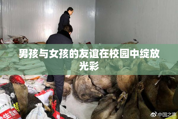 男孩与女孩的友谊在校园中绽放光彩