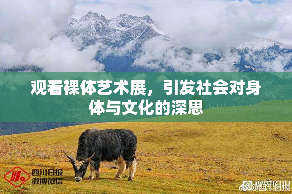 观看裸体艺术展，引发社会对身体与文化的深思
