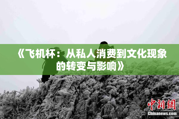 《飞机杯：从私人消费到文化现象的转变与影响》