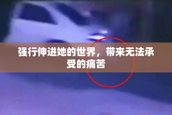 强行伸进她的世界，带来无法承受的痛苦